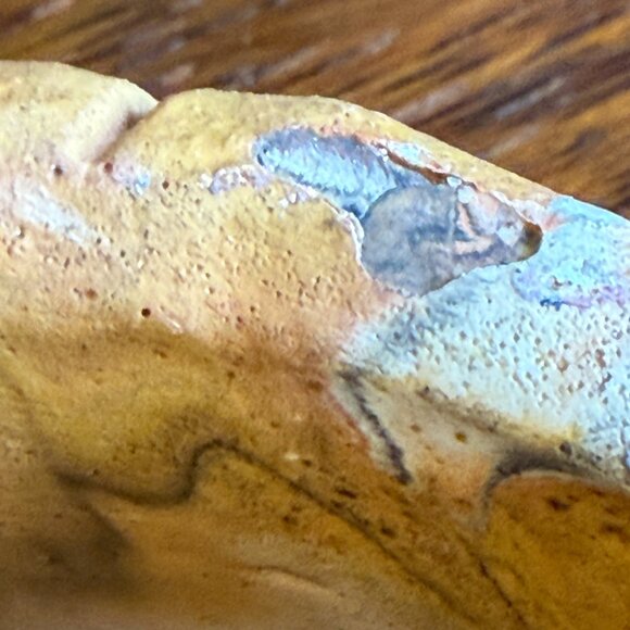 Comanche Pottery Turtle Planter - Picture 13 of 14